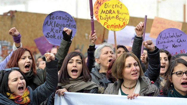eny v Ankae protestovaly proti zvyujcmu se potu obt nsil ze strany mu u v roce 2016. Od roku 2012 do ervence 2019 mui v Turecku zabili tm dva tisce en. 