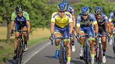 Cyklista hradecké stáje Elkov Author Dominik Neuman (ve žlutém) na trati... Cyklista hradecké stáje Elkov Author Dominik Neuman (ve žlutém) na trati...