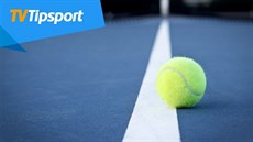 Šokuje Muchová New York? Vsaďte si a sledujte živě na TV Tipsport! Šokuje Muchová New York? Vsaďte si a sledujte živě na TV Tipsport!