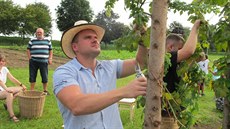 Budoucí farmái ve Frýdlantu sklízejí chmel ze kolní chmelnice. Krom chmele...