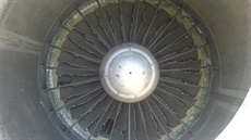 Lopatky motoru Pratt & Whitney JT8D po stetu s ptákem