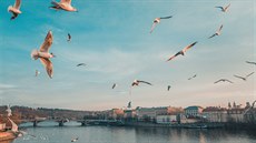 Užijte si Prahu – a neutraťte majlant! Užijte si Prahu – a neutraťte majlant!
