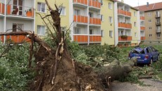 Bouřka provázená hustým deštěm a velmi silným větrem polámala či vyvrátila v... Bouřka provázená hustým deštěm a velmi silným větrem polámala či vyvrátila v...