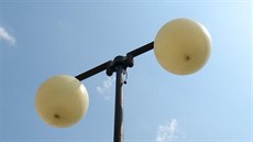 Během svého řádění mladík poničil také veřejné osvětlení. (26. srpna 2019) Během svého řádění mladík poničil také veřejné osvětlení. (26. srpna 2019)