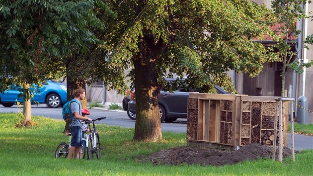 Neudrovanou plochu u Mlnskho potoka a frekventovan cyklostezky smujc na koupalit Podbrady v olomouck Betislavov ulici petvoili mstn lid pedevm ze tvrt epn a Hejn bhem dvou let v park mimo jin s hmyzm hotelem, jeho podobu si pedtm sami navrhli.