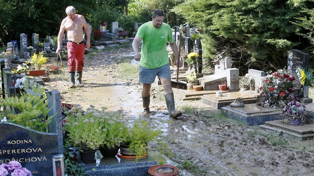 Pvalov d隝 se prohnal stodskm hbitovem na Plzesku. kody napchal tak ve Kvovicch a v Holov. (30. 8. 2019)