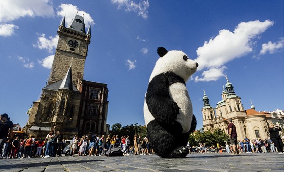 Obí maskoti ledního medvda a pandy se procházeli v ulicích Prahy. Hlavní msto ale vyhlákou tato vystoupení zakázala.