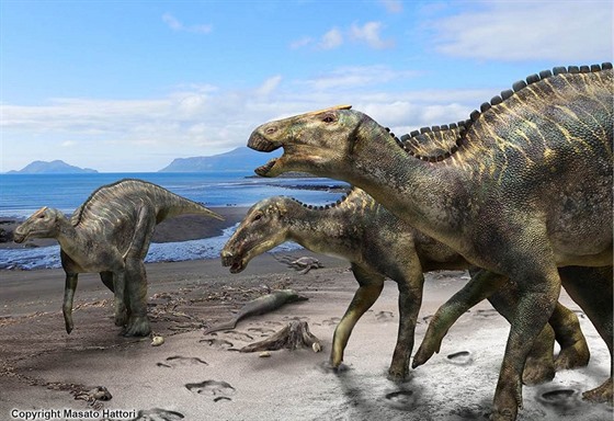 Japontí vdci objevili kostru dosud neznámého druhu dinosaura. Kamuysaurus...