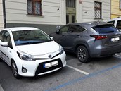 Hybrid v modré zóně