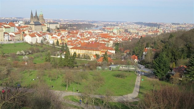 Vizualizace novch veejnch toalet na Petn. (3. z 2019)