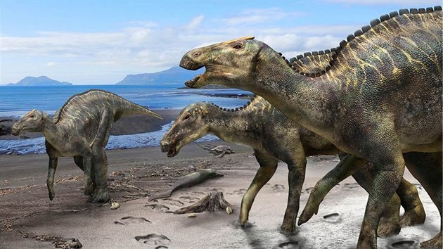 Japont vdci objevili kostru dosud neznmho druhu dinosaura. Kamuysaurus japonicus (na snmku je rekonstrukce jeho mon podoby) mohl vit i vce ne pt tun. (29. srpna 2019)