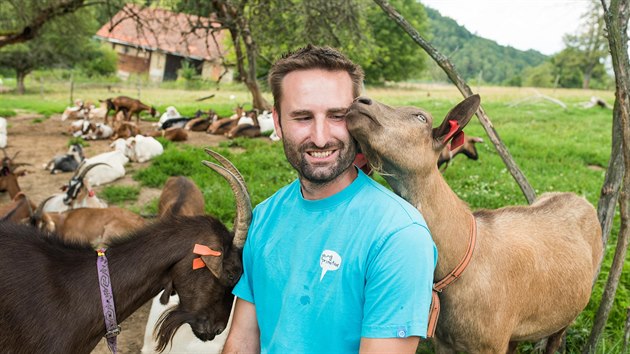 Martin Vlek s manelkou chovaj na farm na okraji Vizovic zhruba stohlav koz stdo. Na nkter zvata volaj jmnem.
