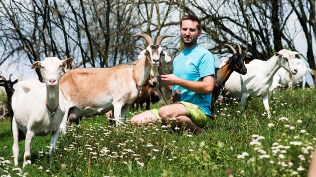 Martin Vlek s manelkou chovaj na farm na okraji Vizovic zhruba stohlav koz stdo. Na nkter zvata volaj jmnem.