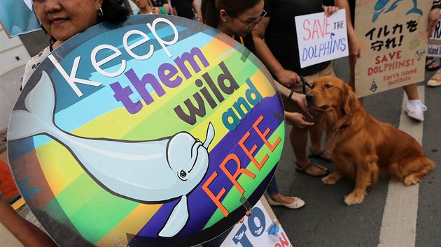 Demonstrace na Filipnch proti japonskmu lovu delfn (2. z 2018)
