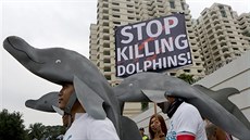Delfíny loví i jinde. Zde v Pobeí slonoviny.