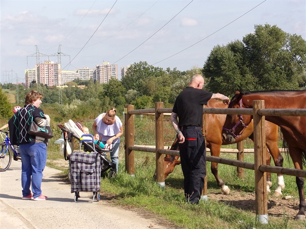 Podél Milíčovské aleje pozorujete i domácí zvířata.