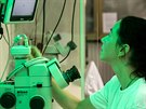 V laboratoch Avantea se podailo vytvoit a zmrazit dv embrya nosoroc...