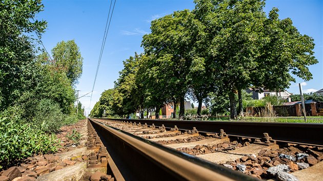 Alej Kaštanka na předměstí Hradce Králové (11. 9. 2019) Alej Kaštanka na předměstí Hradce Králové (11. 9. 2019)