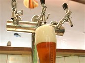 Čerstvě natočené pivo. Čerstvě natočené pivo.