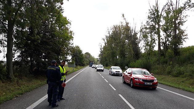 Cizinci pracovali u Sadov bez povolen.