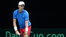 Český tenista Jiří Lehečka během Davis Cupu. Český tenista Jiří Lehečka během Davis Cupu.