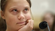 védská klimatická aktivistka Greta Thunbergová ve Washingtonu (18. záí 2019)