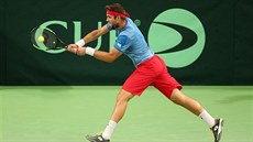 Jiří Veselý ve druhém utkání Davis Cupu proti Tomislavu Brkićovi. Jiří Veselý ve druhém utkání Davis Cupu proti Tomislavu Brkićovi.