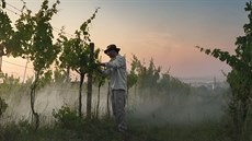 Chci vyprávět příběhy lidí, kteří mají blízko k půdě a přírodě jako takové,... Chci vyprávět příběhy lidí, kteří mají blízko k půdě a přírodě jako takové,...