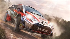 WRC 8