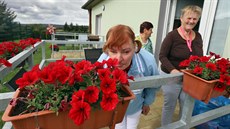 Klienti z ústavu Pata u Hazlova se přestěhovali do nových rodinných domků v... Klienti z ústavu Pata u Hazlova se přestěhovali do nových rodinných domků v...