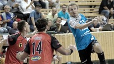 Momentka ze zápasu Plzeň - Zubří Momentka ze zápasu Plzeň - Zubří