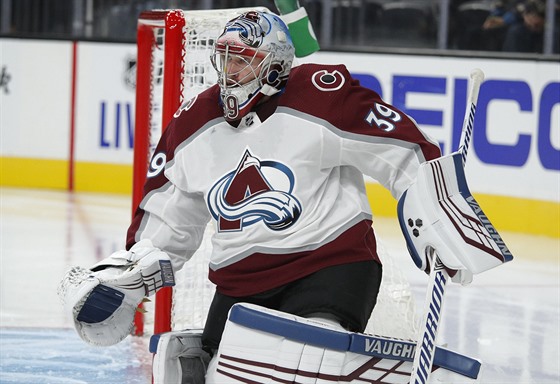 Pavel Francouz v brance Colorado Avalanche