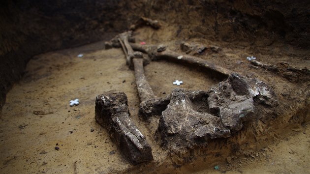 Archeologov v Dubanech prozkoumali hrob s kostrou keltskho bojovnka. Soust vbavy byl me a kop.
