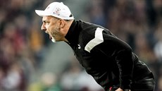 Slávistický trenér Jindřich Trpišovský udílí pokyny svým svěřencům v derby se... Slávistický trenér Jindřich Trpišovský udílí pokyny svým svěřencům v derby se...