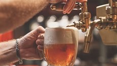 Dny českého piva jsou tu! Těšte se na kvízy se sládky i pivo zdarma Dny českého piva jsou tu! Těšte se na kvízy se sládky i pivo zdarma