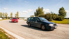 V Českých Budějovicích vítají u Globusu řidiče neupravené keře. V Českých Budějovicích vítají u Globusu řidiče neupravené keře.