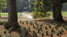 Zámecký park ve Slatiňanech se otevře na jaře. Zámecký park ve Slatiňanech se otevře na jaře.