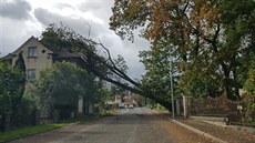 Ve Varnsdorfu spadl strom na rodinný dům. (30. září 2019) Ve Varnsdorfu spadl strom na rodinný dům. (30. září 2019)