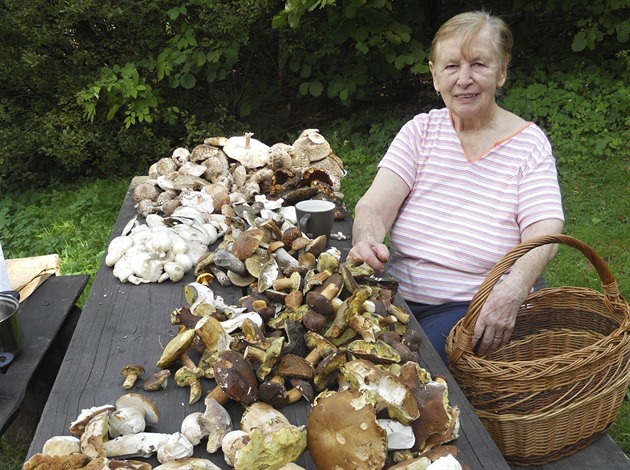 Jiina Mizerová nasbírala v Královci u Valaských Klobouk desítky hub.