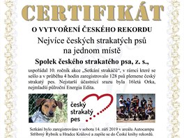 eský strakatý pes je eské národní plemeno, proto je jeho výskyt logicky...