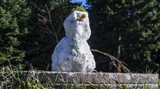 Sněhulák na vrcholu Černé hory v Krkonoších (7. října 2019) Sněhulák na vrcholu Černé hory v Krkonoších (7. října 2019)