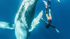Potápka musela pi podvodním tanci s gigantem prokázat nejen odvahu.