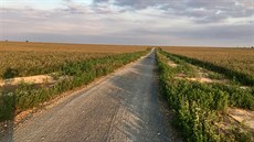 Ještě na jaře tam nebylo nic. Letos Dolní Břežany obnovily cestu polem na... Ještě na jaře tam nebylo nic. Letos Dolní Břežany obnovily cestu polem na...