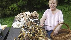 Jiřina Mizerová nasbírala v Královci u Valašských Klobouků desítky hub. Jiřina Mizerová nasbírala v Královci u Valašských Klobouků desítky hub.