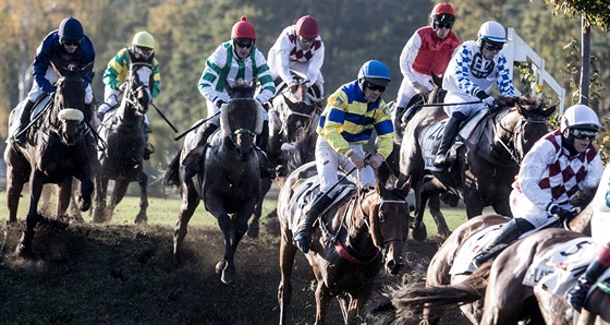 Momentka z loské Velké pardubické. 