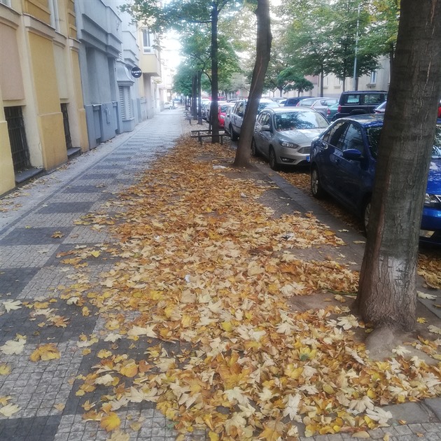 Týden po čištění ulic to vypadá na Vinohradech takto.