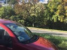 V nějakém vydání Metra jsem viděla fotku kvetoucích kaštanů „někde“.Uvědomila jsem si, že jsem kvetoucí kaštany vyfotila na Evropské třídě v Praze, kousek nad McDonaldem.Tak ji posílám. Není moc kvalitní, fotila jsem z autobusu. V nějakém vydání Metra jsem viděla fotku kvetoucích kaštanů „někde“.Uvědomila jsem si, že jsem kvetoucí kaštany vyfotila na Evropské třídě v Praze, kousek nad McDonaldem.Tak ji posílám. Není moc kvalitní, fotila jsem z autobusu.