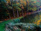Posílám podzimní foto do soutěže. Posílám podzimní foto do soutěže.