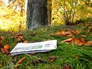 Dobrý den,
v Metru dne 15. října jsem našla vyhlášenou fotosoutěž, nebylo mi zcela jasné, jestli je možné poslat fotku i bez "Metra", nebo jen s novinami, tak posílám do soutěže fotografie dvě. Obě jsou z oblasti Tiché Šárky, která je letos vel Dobrý den,
v Metru dne 15. října jsem našla vyhlášenou fotosoutěž, nebylo mi zcela jasné, jestli je možné poslat fotku i bez "Metra", nebo jen s novinami, tak posílám do soutěže fotografie dvě. Obě jsou z oblasti Tiché Šárky, která je letos vel