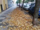 Týden po čištění ulic to vypadá na Vinohradech takto. Týden po čištění ulic to vypadá na Vinohradech takto.